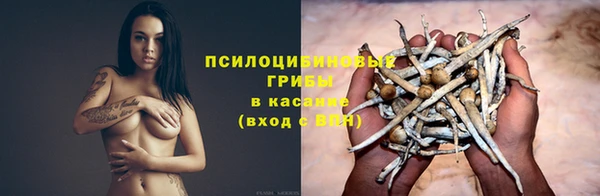 сатива Арсеньев