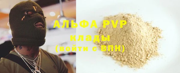 сатива Арсеньев