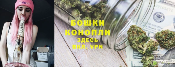 сатива Арсеньев