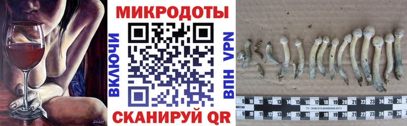Купить где  Джанкой  Галлюциногенные грибы Magic Shrooms 